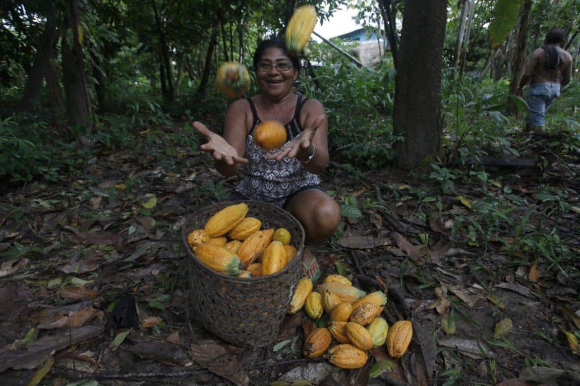 Mulher no meio da floresta com uma cesta recheada de cacau.