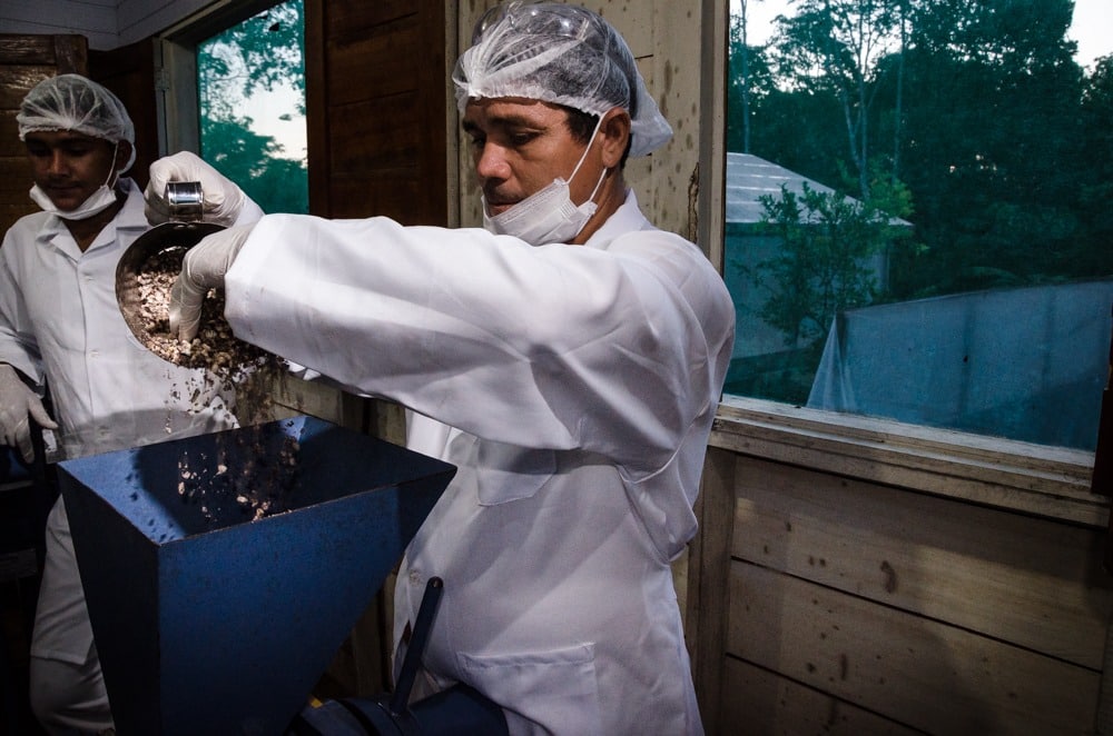 Dois homens colocando produto em máquina para trituração, em comunidade no Amazonas.