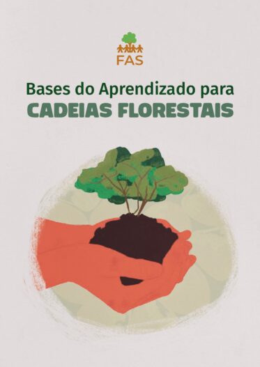 Base do Aprendizado para Cadeias Florestais