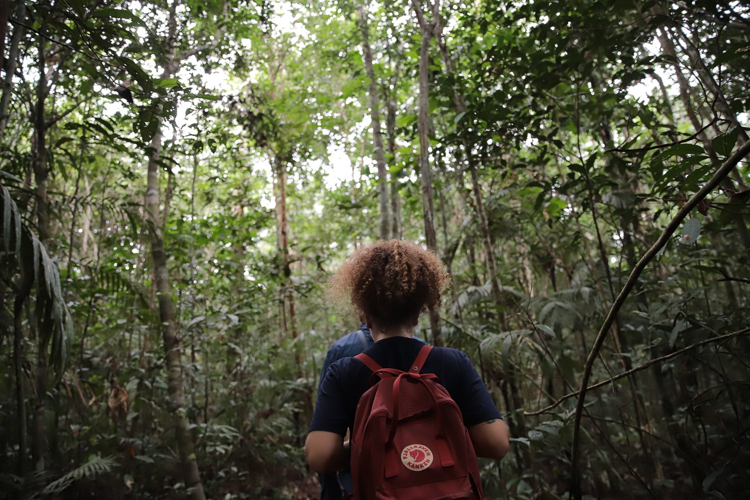 Mulher fazendo trilha na floresta.