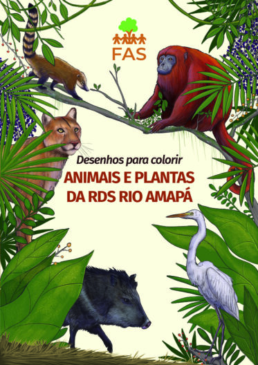 Animais e Plantas da RDS rio Amapá